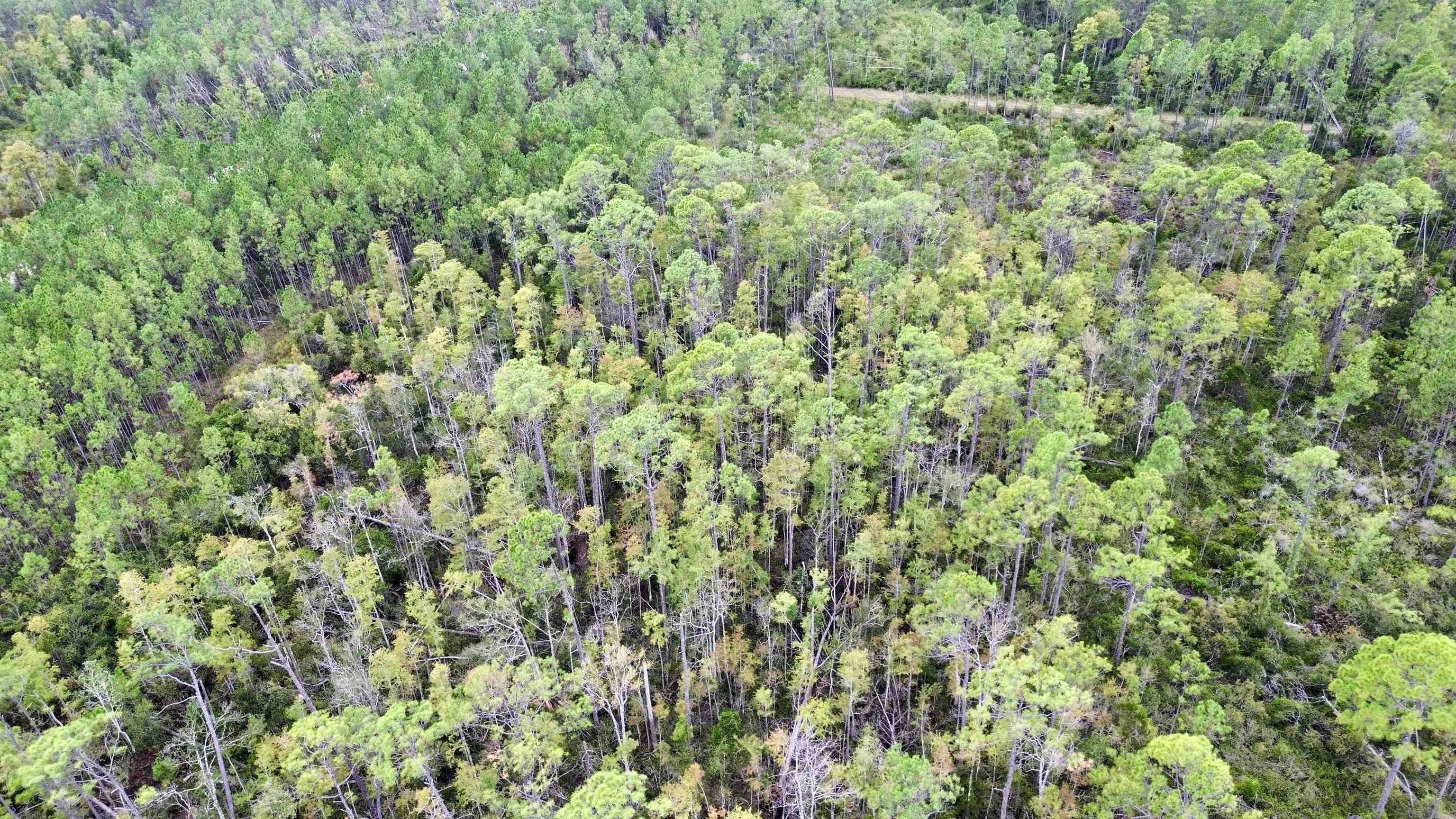 0 Circle Block Loop Perry, FL 32347 - Photo 29 of 31