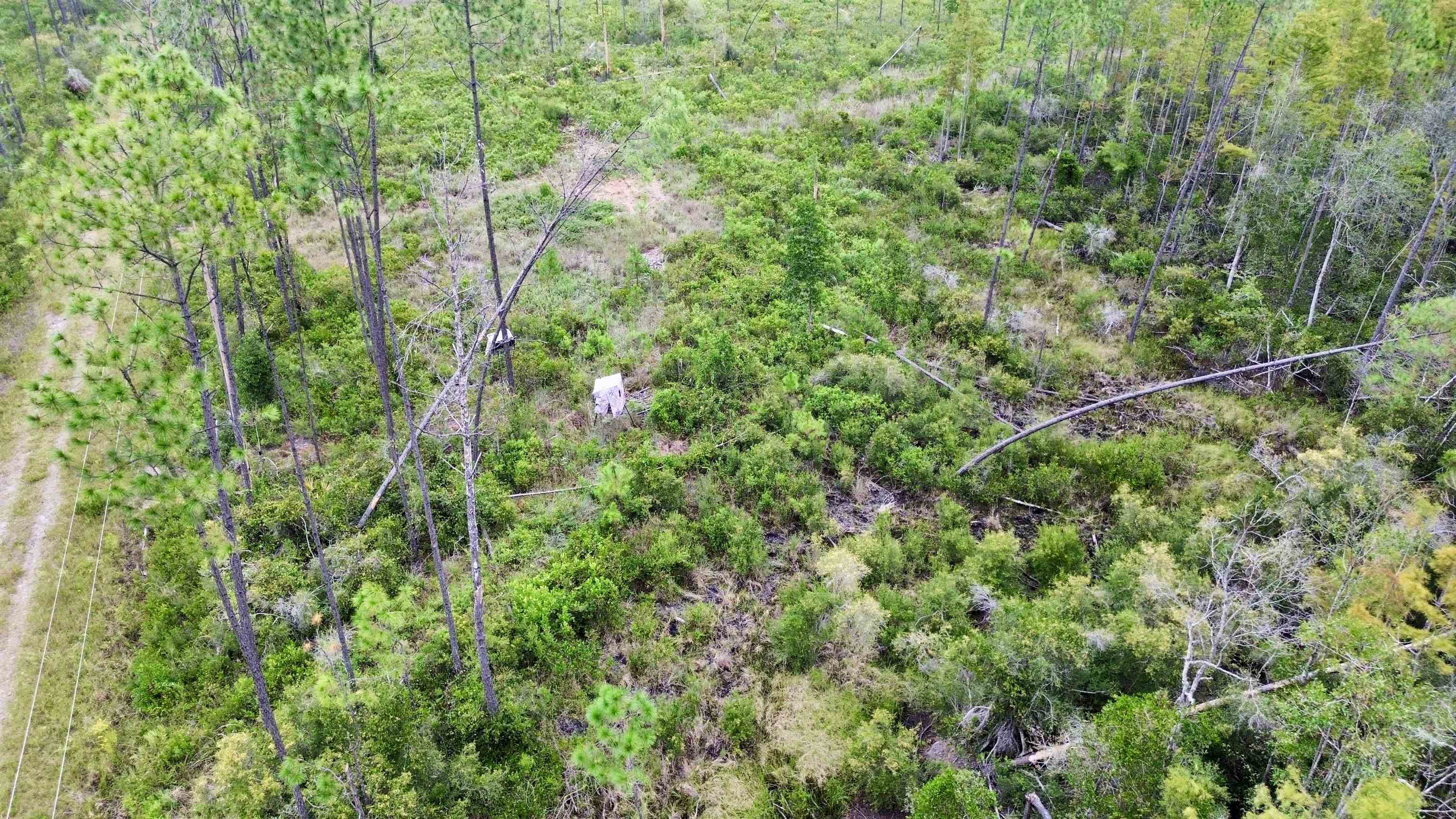 0 Circle Block Loop Perry, FL 32347 - Photo 30 of 31