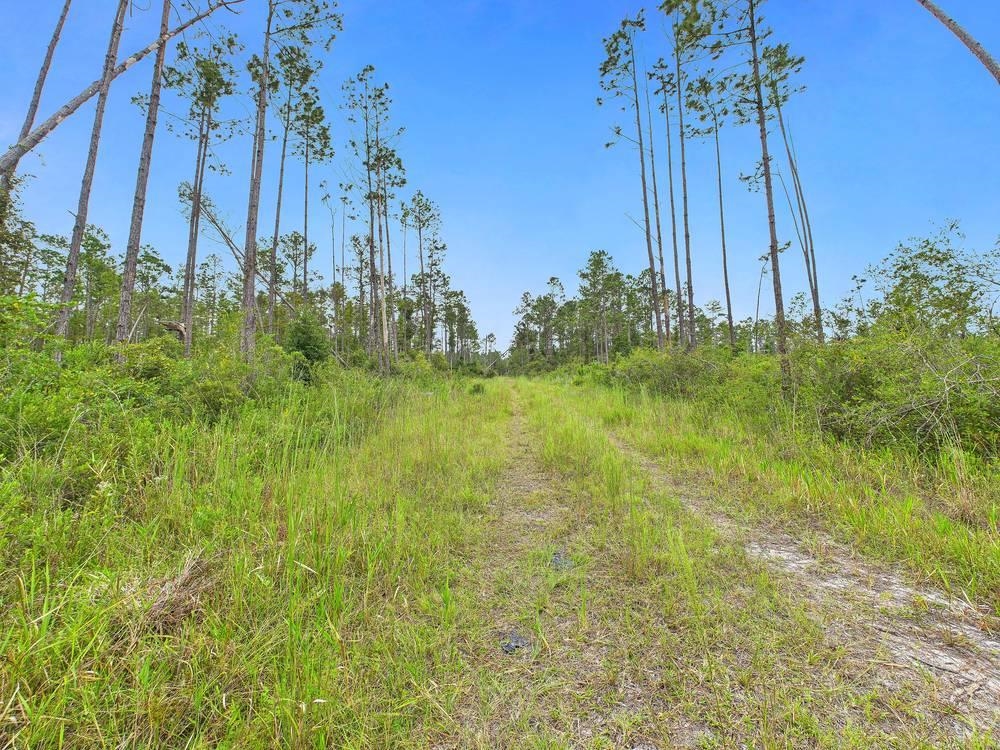 0 Circle Block Loop Perry, FL 32347 - Photo 3 of 31