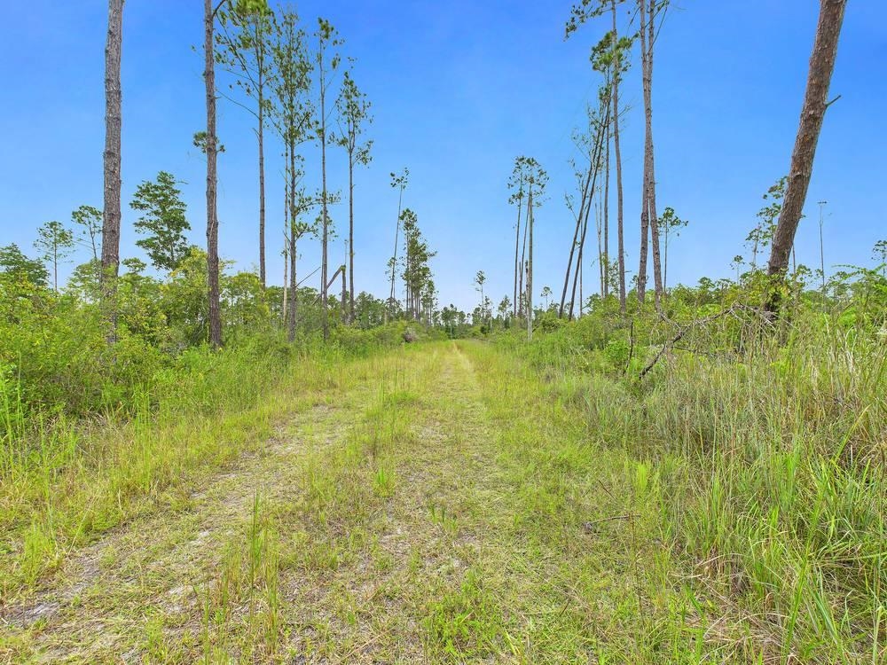 0 Circle Block Loop Perry, FL 32347 - Photo 4 of 31