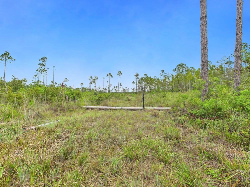 0 Circle Block Loop Perry, FL 32347 - Photo 5 of 31