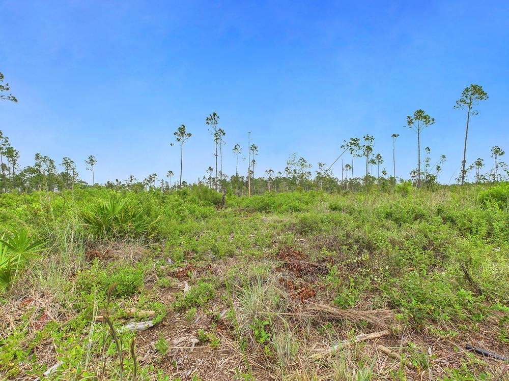 0 Circle Block Loop Perry, FL 32347 - Photo 6 of 31