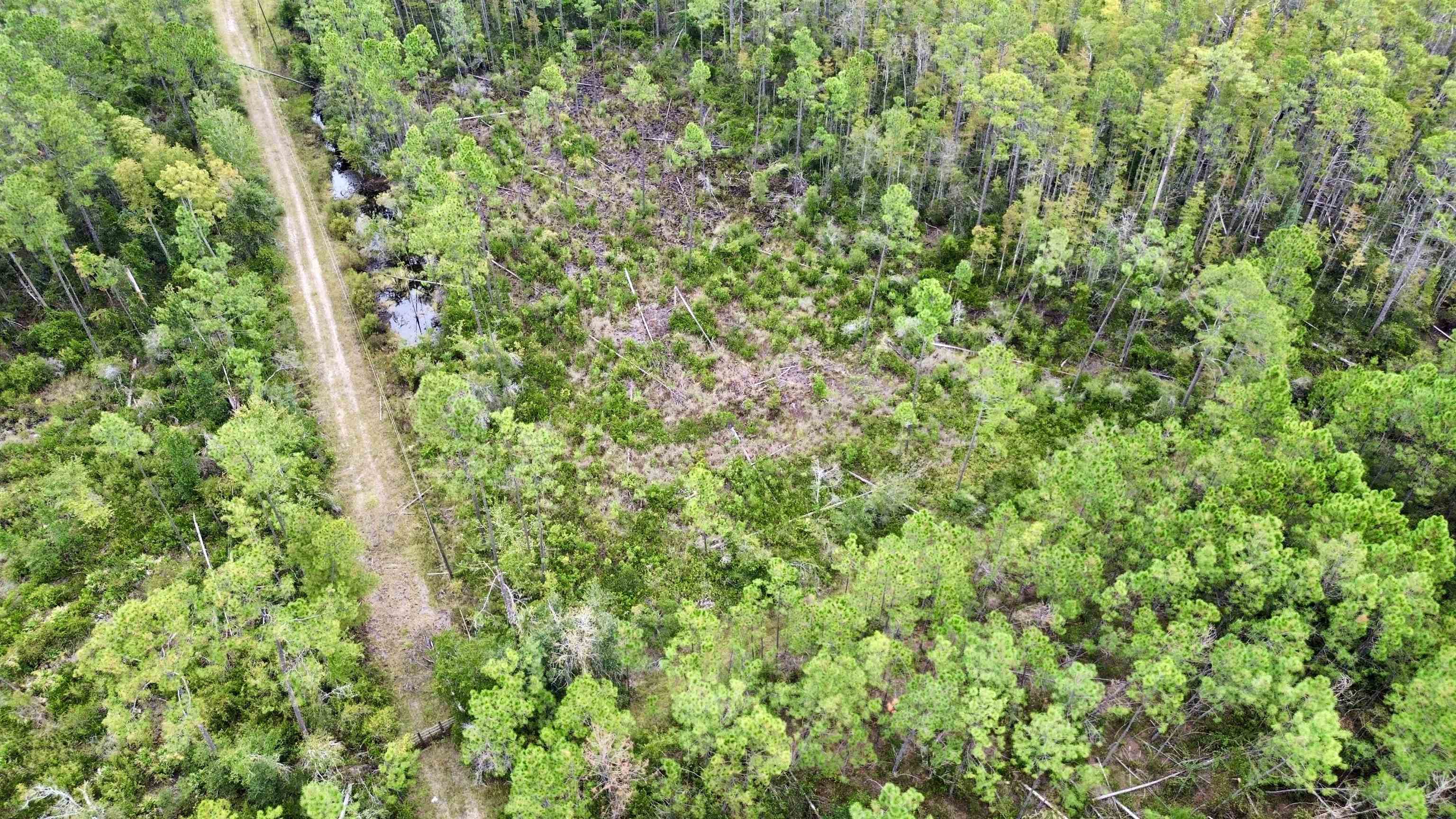 0 Circle Block Loop Perry, FL 32347 - Photo 8 of 31