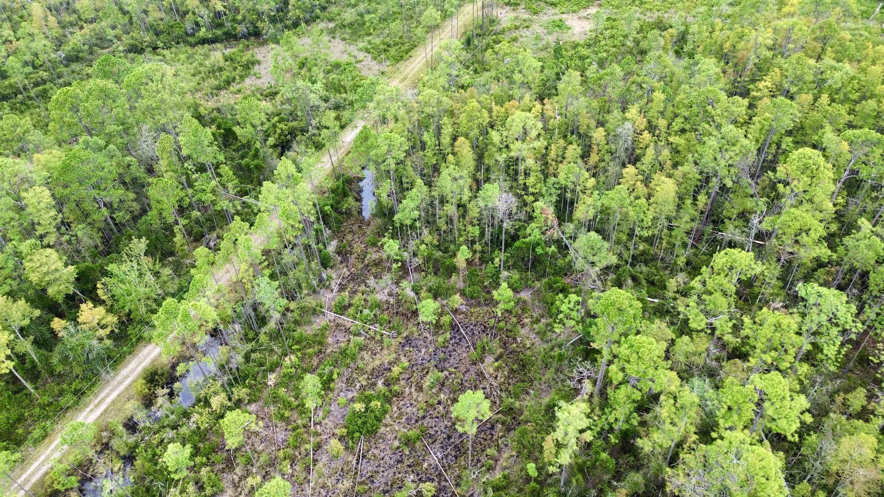 0 Circle Block Loop Perry, FL 32347 - Photo 9 of 31