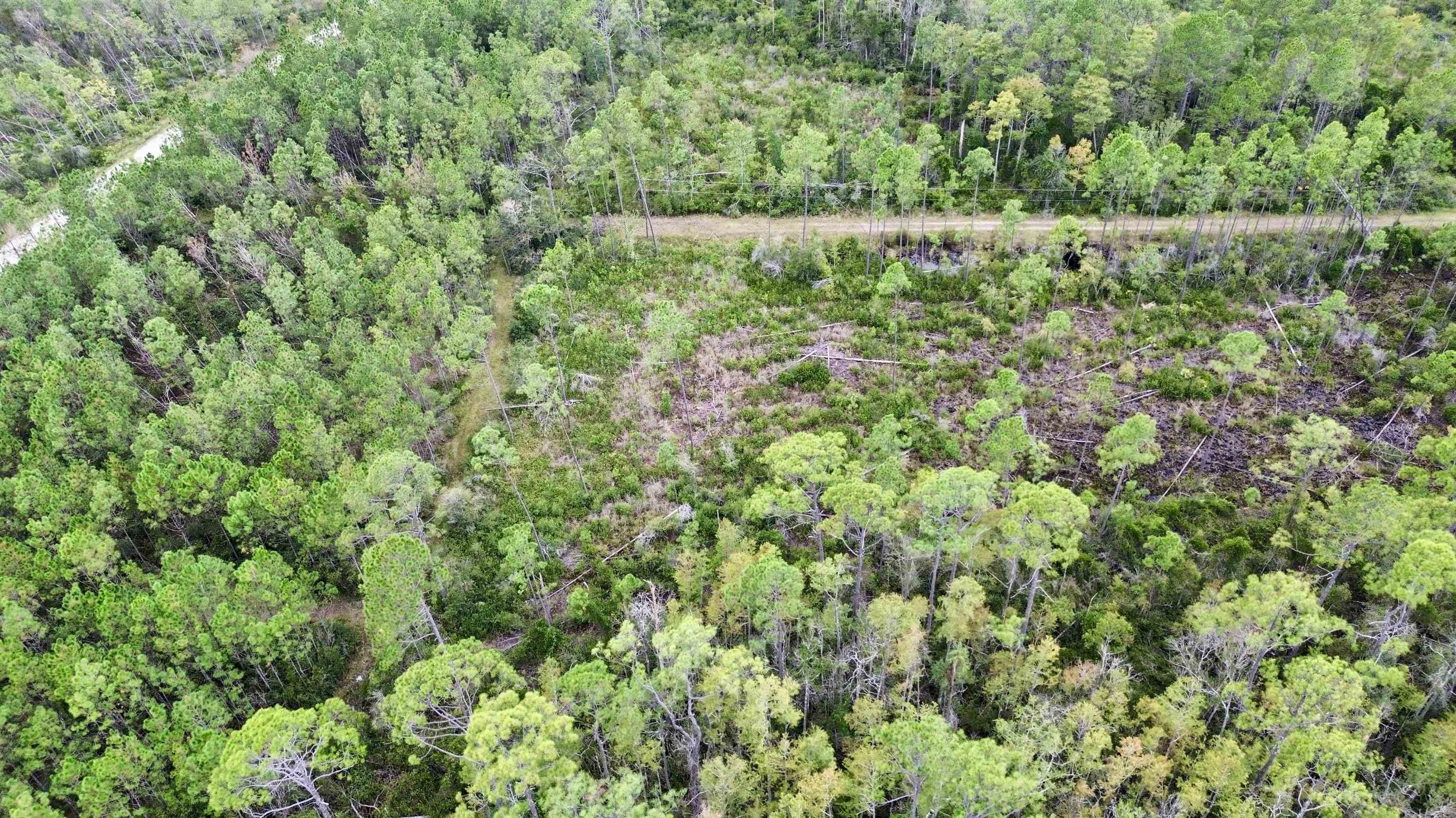 0 Circle Block Loop Perry, FL 32347 - Photo 10 of 31