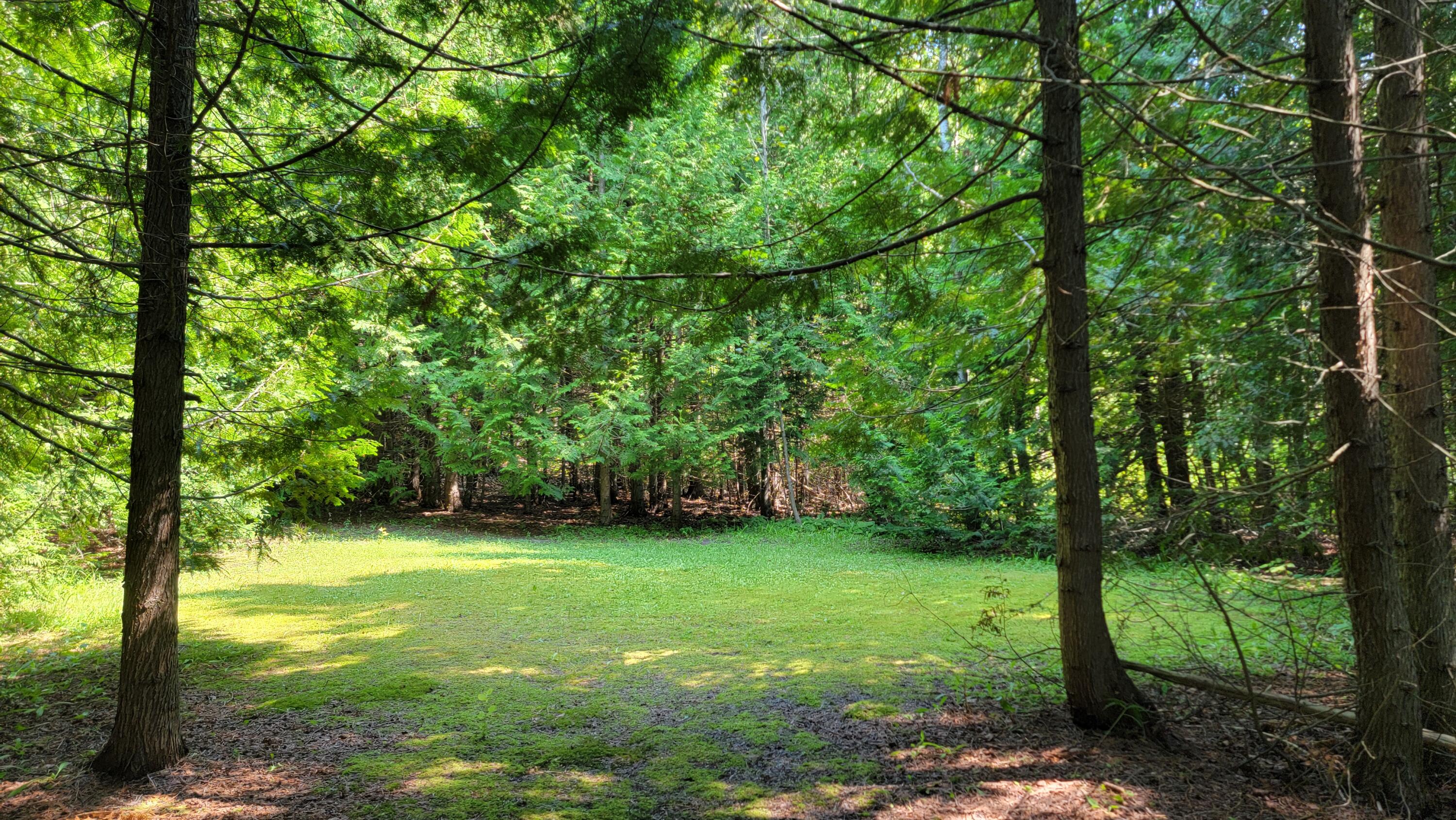 1208 West Pte La Barbe Rd Street St. Ignace, MI 49781 - Photo 59 of 62 Gallery Image 59
