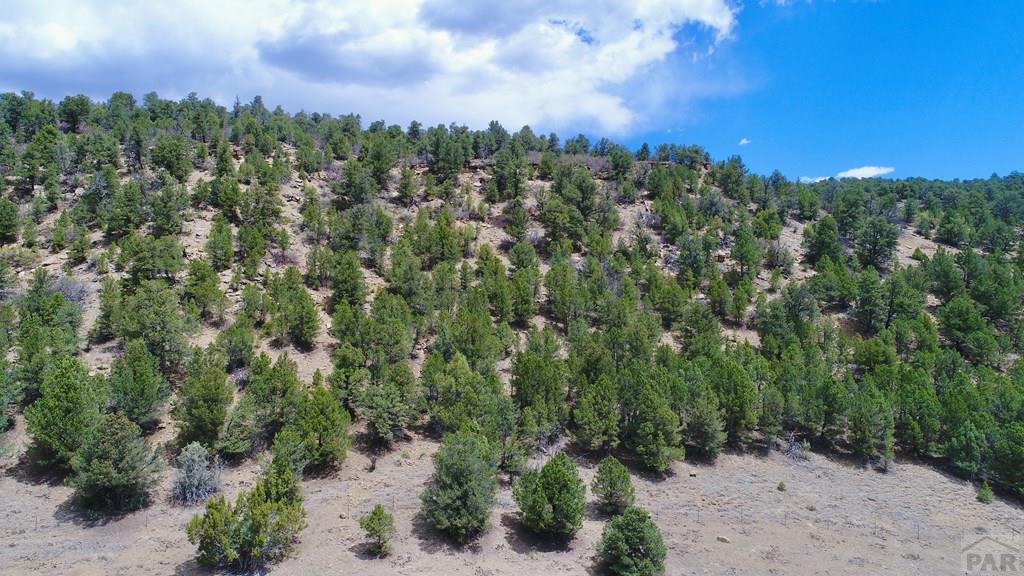 24351 Co Road Aguilar, CO 81020 - Photo 46 of 60