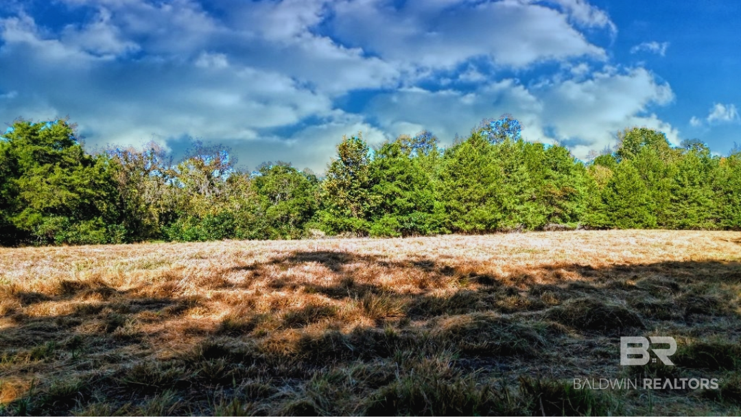 0 Highway 17 Millry, AL 36558 - Photo 59 of 73 Gallery Image 59