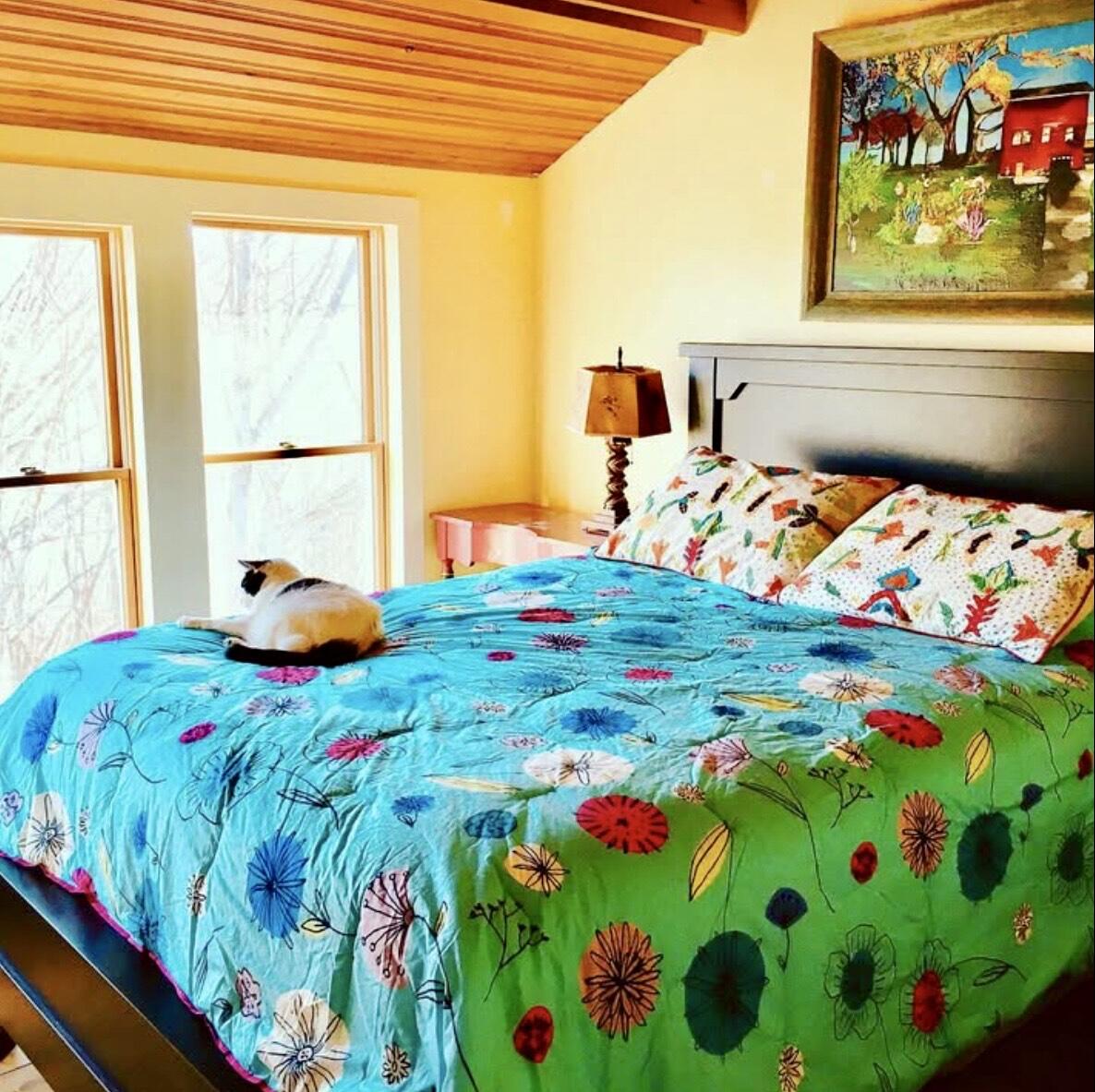 565 Mosher Hill Road Farmington, ME 04938 - Photo 56 of 70 IMG_6848