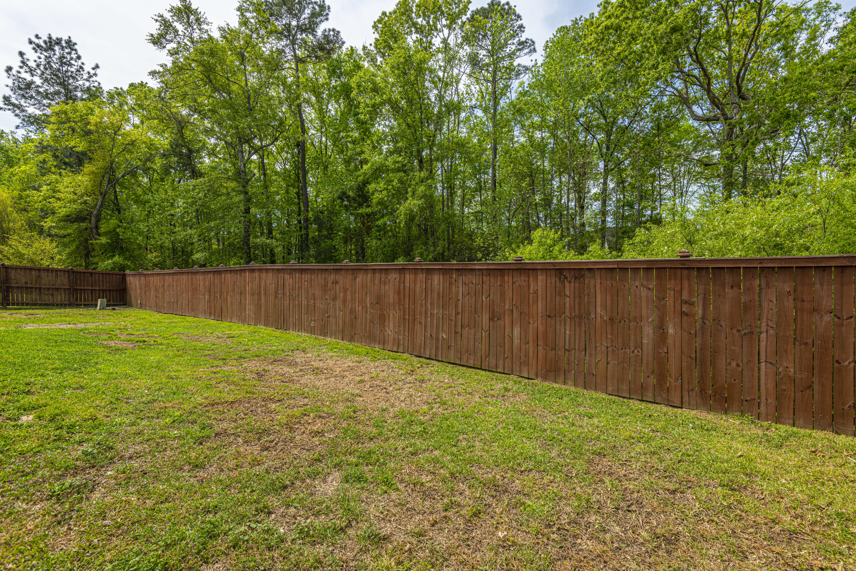 315 Carriage Wheel Road Moncks Corner, SC 29461 - Photo 9 of 53 DSC_3102