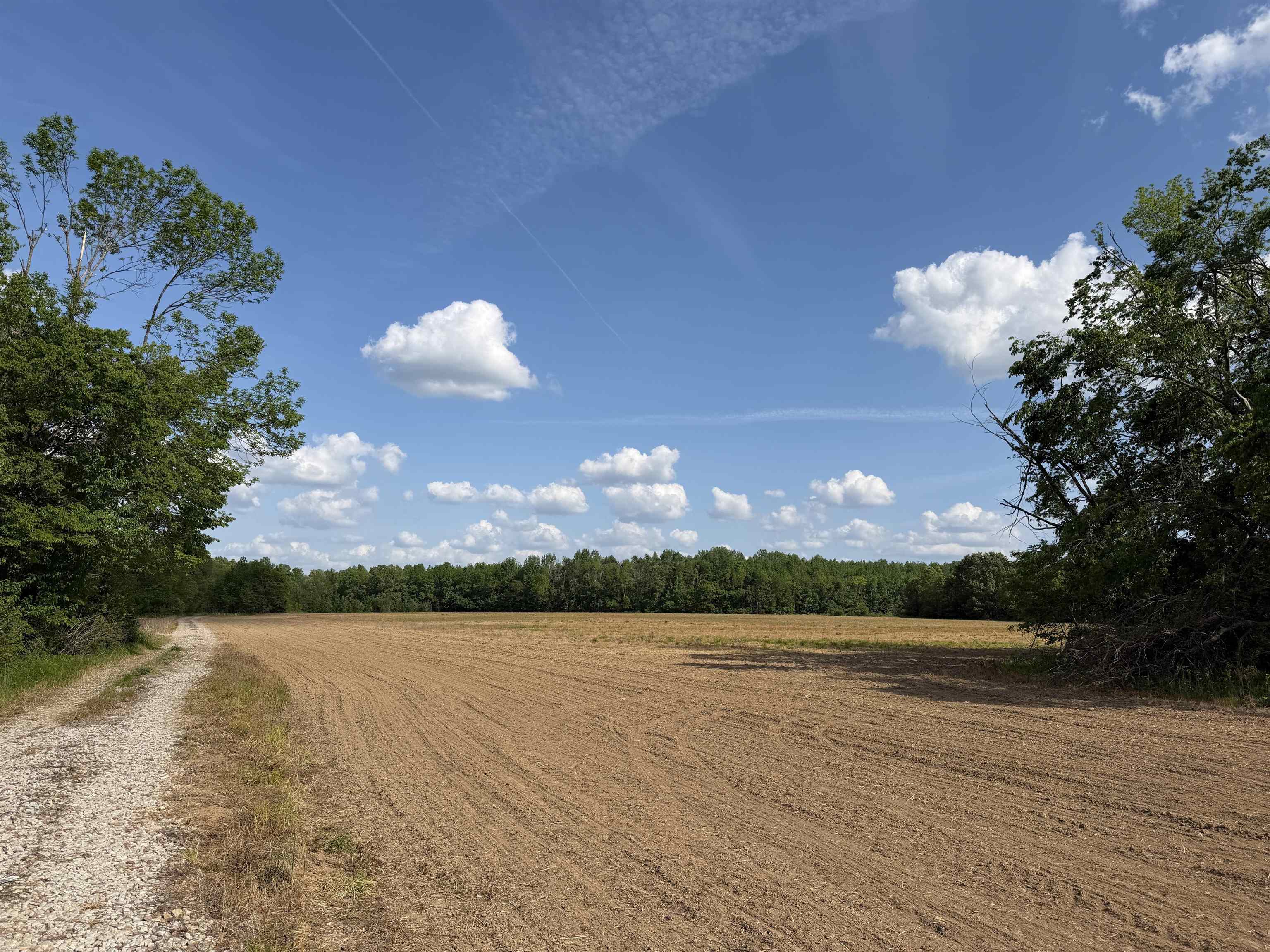 859 Cravens Road Savannah, TN 38372 - Photo 32 of 40 a view of lake with mountain in background