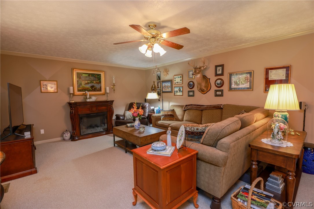 16050 Arwood Road Disputanta, VA 23842 - Photo 11 of 50 Gallery Image 11