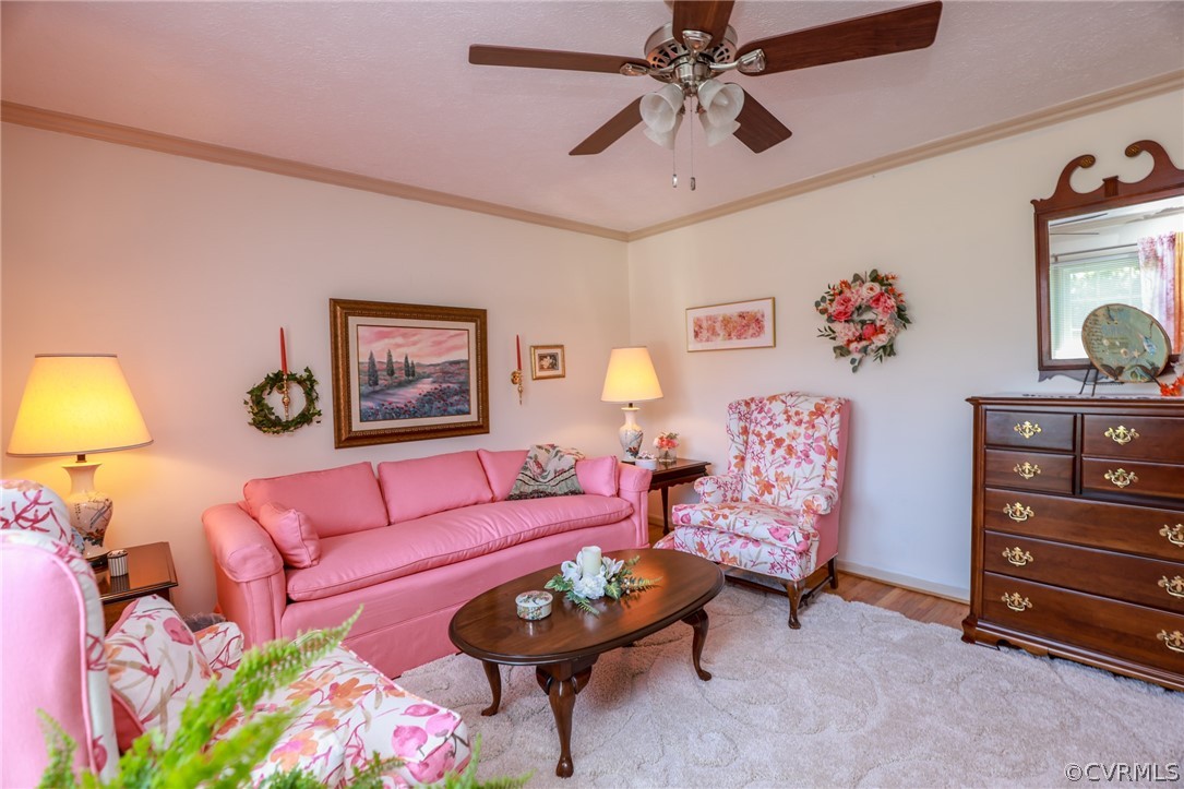 16050 Arwood Road Disputanta, VA 23842 - Photo 9 of 50 Gallery Image 9