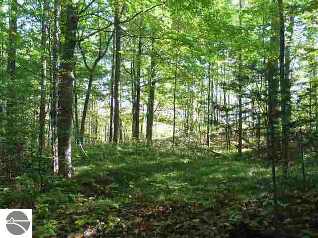 4863 Taber Road South Branch, MI 48761 - Photo 3 of 9 1763560-2.JPG