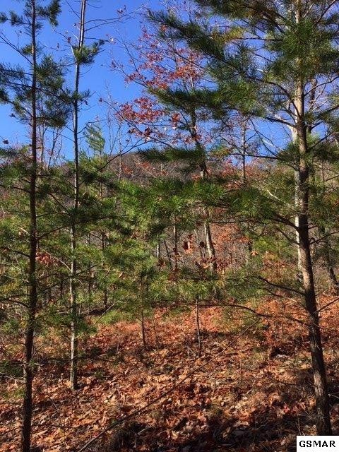 128 Bluff Mountain Road Sevierville, TN 37862 - Photo 2 of 6 Gallery Image 2