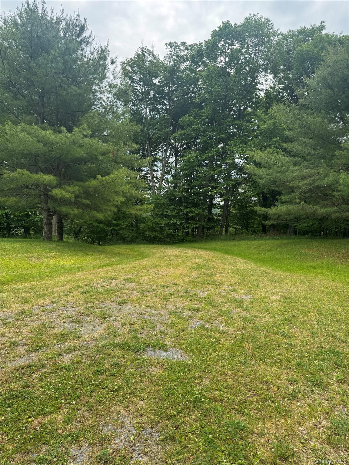 742 Lenape Lake Road Livingston Manor, NY 12758 - Photo 7 of 42