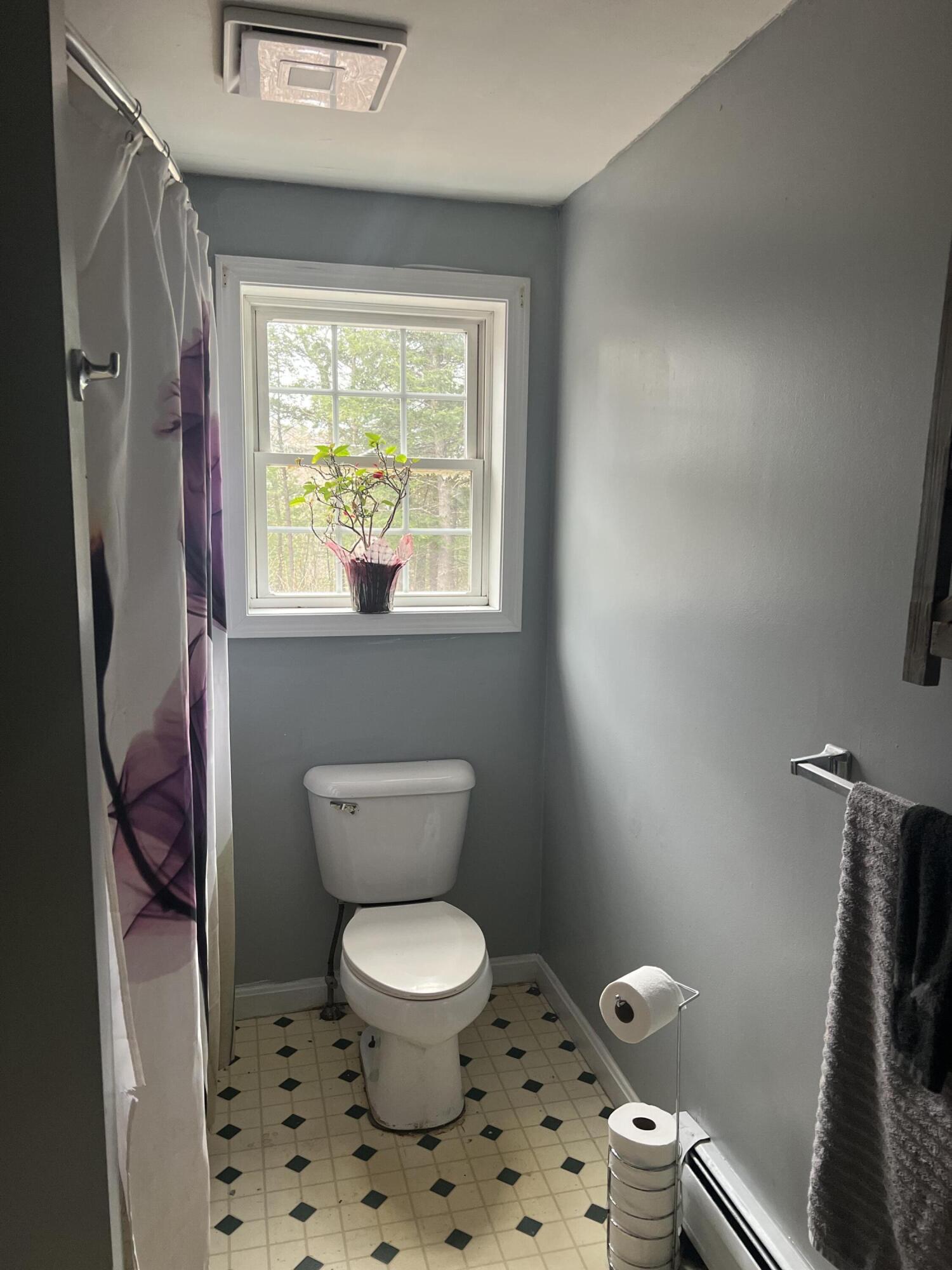 257 Hopper Road Acton, ME 04001 - Photo 18 of 41 IMG_7728