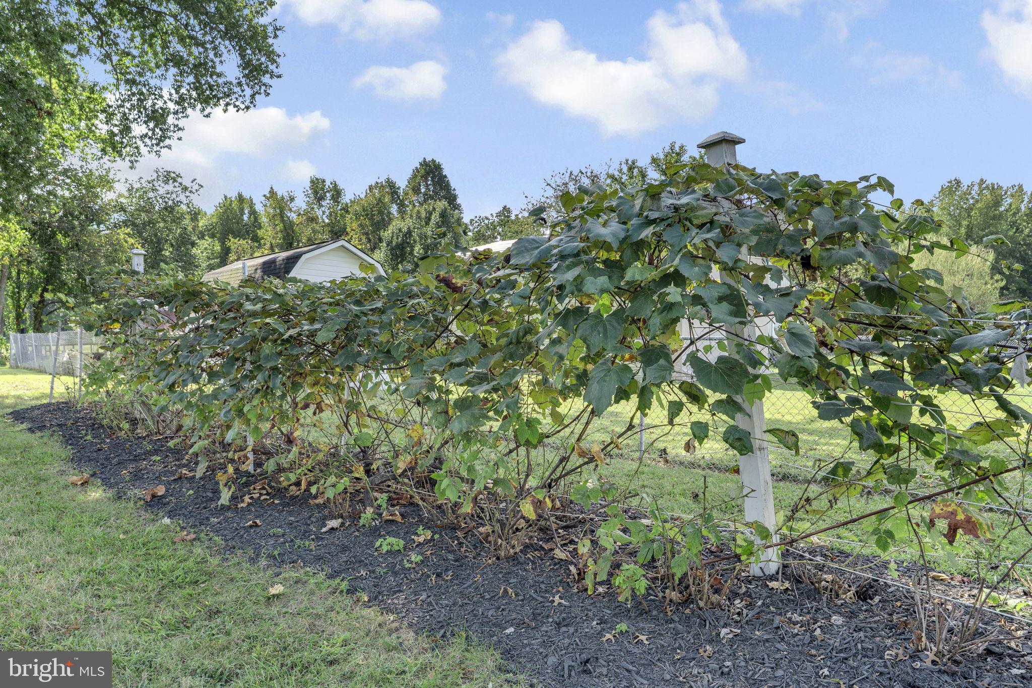 15115 Oaks Road Charlotte Hall, MD 20622 - Photo 41 of 43