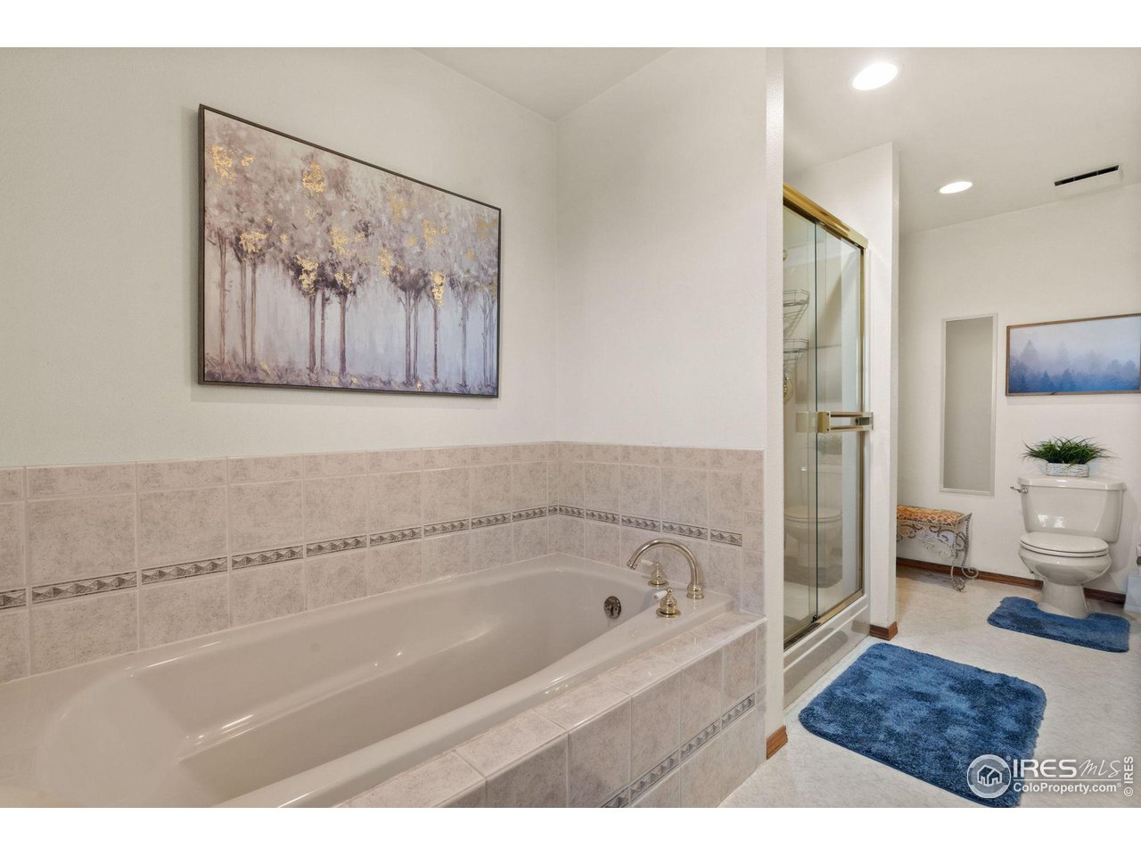 12492 Wasatch Road Longmont, CO 80504 - Photo 17 of 35 a bathroom with a bathtub and a shower