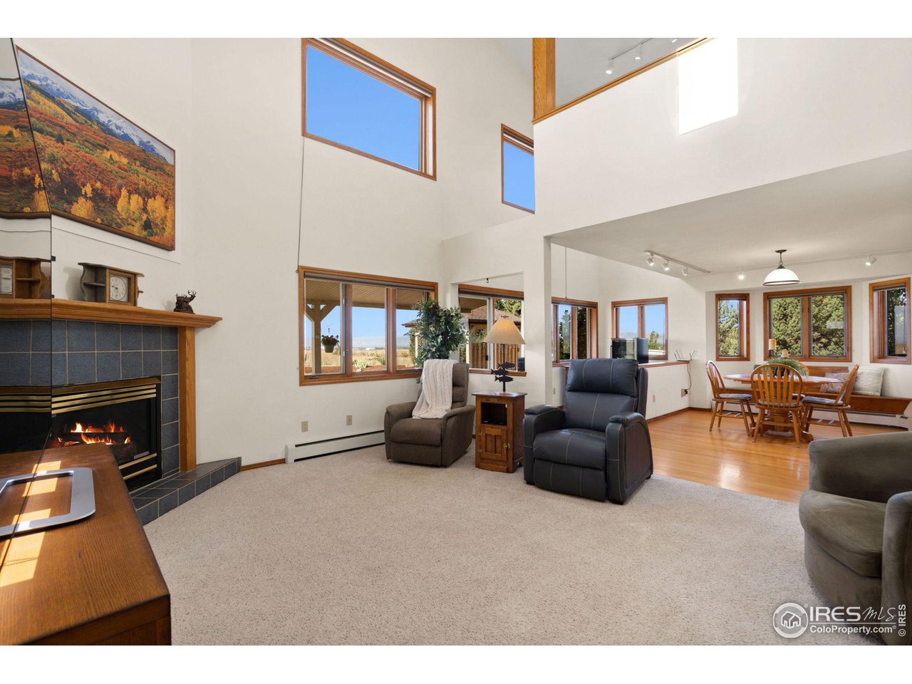 12492 Wasatch Road Longmont, CO 80504 - Photo 35 of 35 a living room with furniture and a fireplace