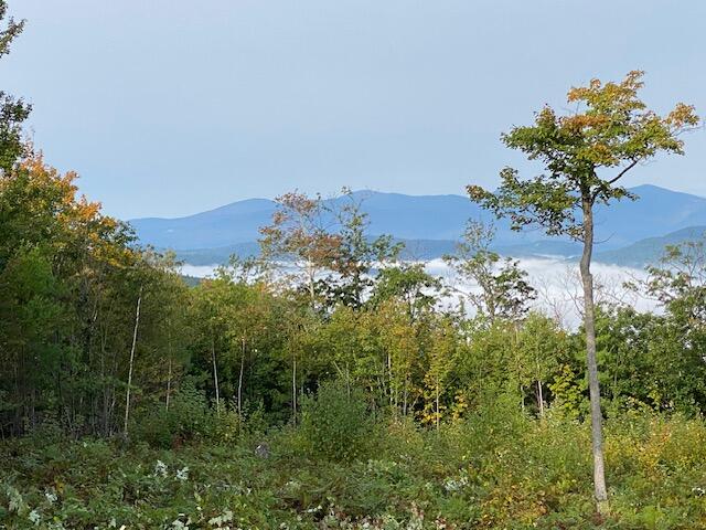 105 Mine Road, Unit LOT 8 Bethel, ME 04217 - Photo 4 of 10 Summer