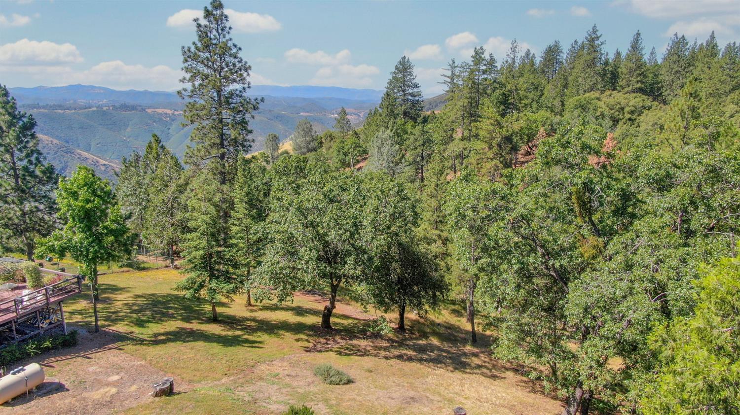 11037 Clinton Bar Road Pine Grove, CA 95665 - Photo 3 of 35