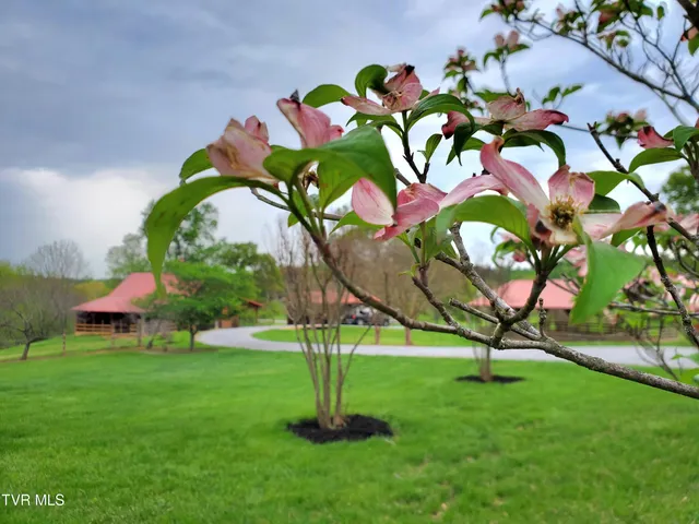 $1,249,900 | 1331 Bright Hope Road, Greeneville, TN 37743