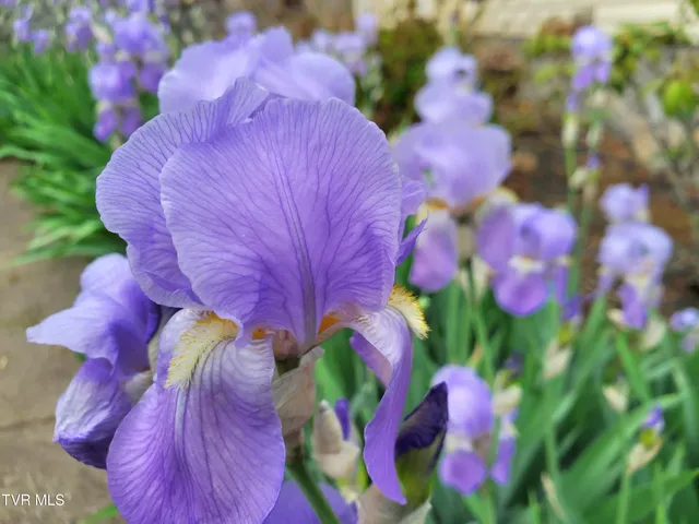 $1,249,900 | 1331 Bright Hope Road, Greeneville, TN 37743