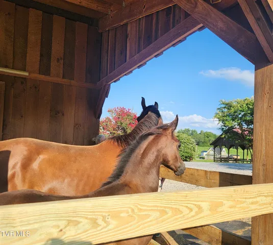 $1,249,900 | 1331 Bright Hope Road, Greeneville, TN 37743