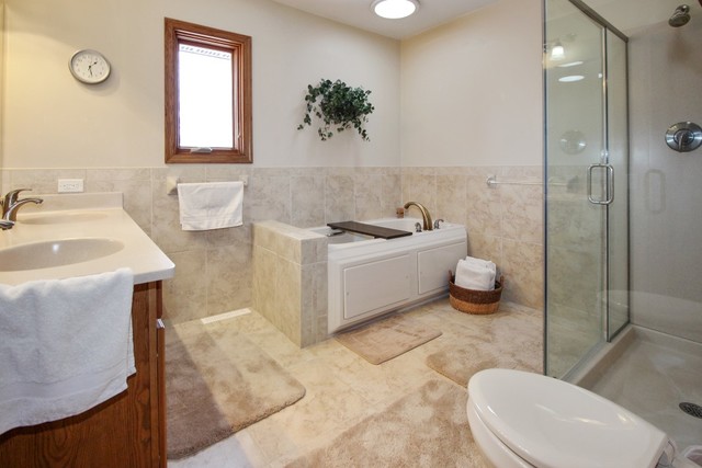 7417 East Maize Road Ridott, IL 61067 - Photo 24 of 46 a bathroom with a sink toilet and shower