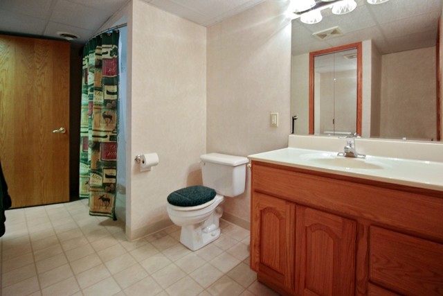 7417 East Maize Road Ridott, IL 61067 - Photo 38 of 46 a bathroom with a sink a toilet and a mirror