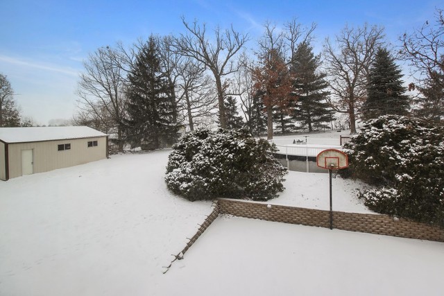 7417 East Maize Road Ridott, IL 61067 - Photo 45 of 46 a view of a street with large trees
