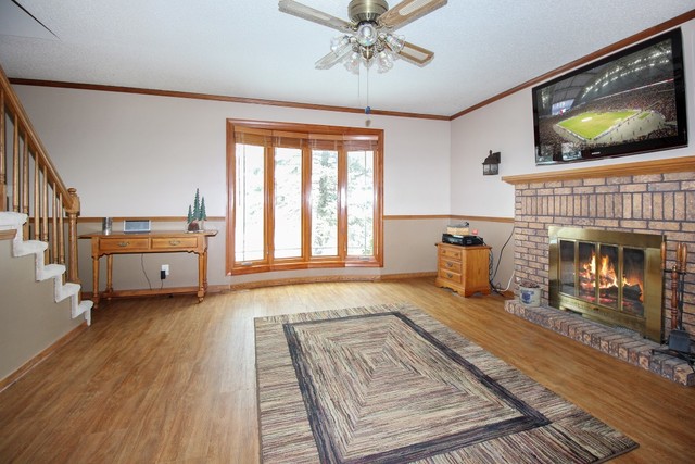 7417 East Maize Road Ridott, IL 61067 - Photo 7 of 46 a living room with furniture and a fireplace
