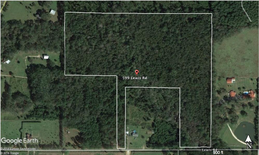 39.93-ac Lewis Road Cairo, GA 39828 - Photo 1 of 1 Main View