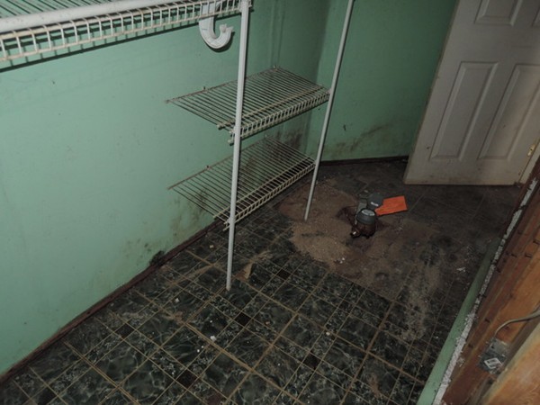 37 George Street Springfield, MA 01105 - Photo 28 of 28 a close view of shower