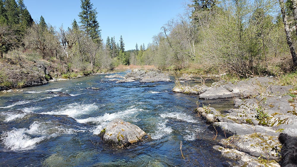 4750 Waldo Road Cave Junction, OR 97523 - Photo 4 of 22 4