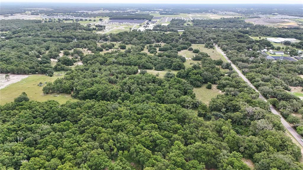 5501 Cemetery Road Mount Dora, FL 32757 - Photo 9 of 16