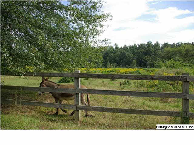 Turkey Ridge, Unit 11 Ragland, AL 35131 - Photo 6 of 31