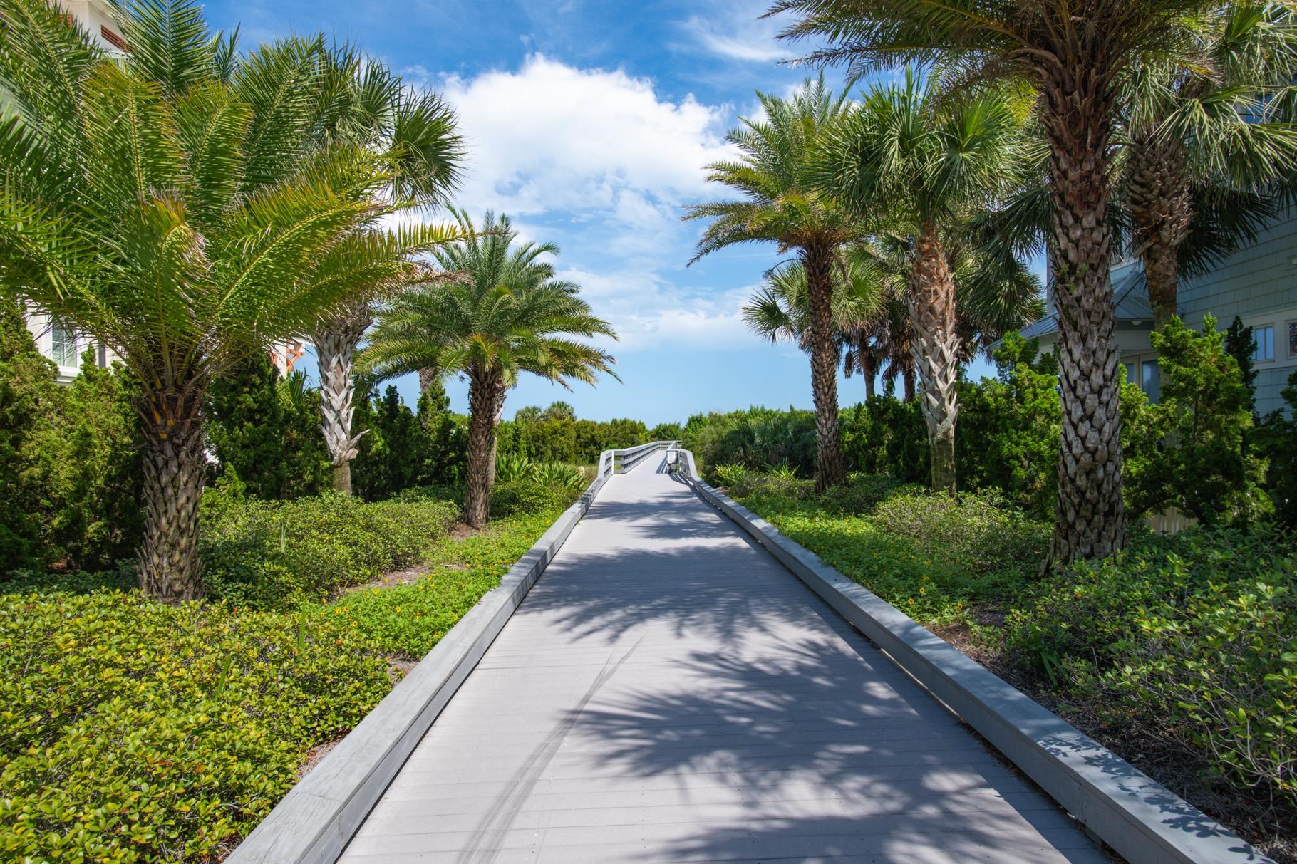 201 North Forest Dune Drive St. Augustine Beach, FL 32080 - Photo 54 of 57 a view of a yard with flower plants