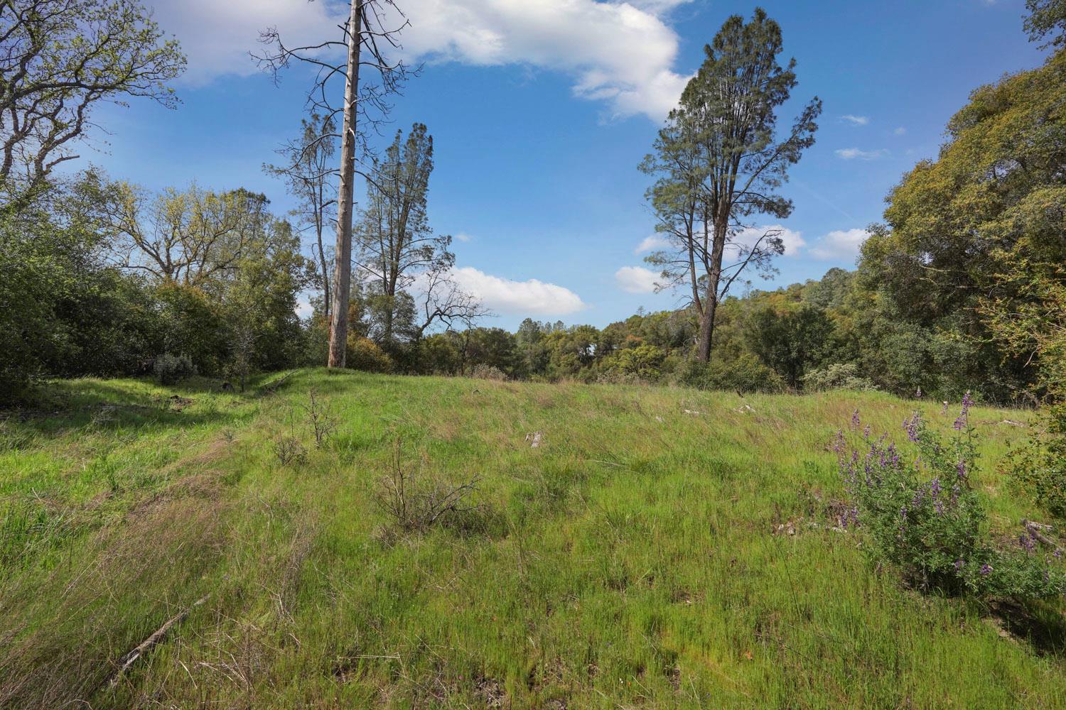 4459 Usona Road Mariposa, CA 95338 - Photo 19 of 27