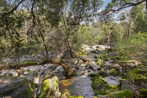 $195,000 | 4459 Usona Road, Mariposa, CA 95338