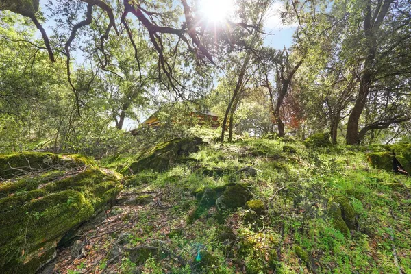 $195,000 | 4459 Usona Road, Mariposa, CA 95338
