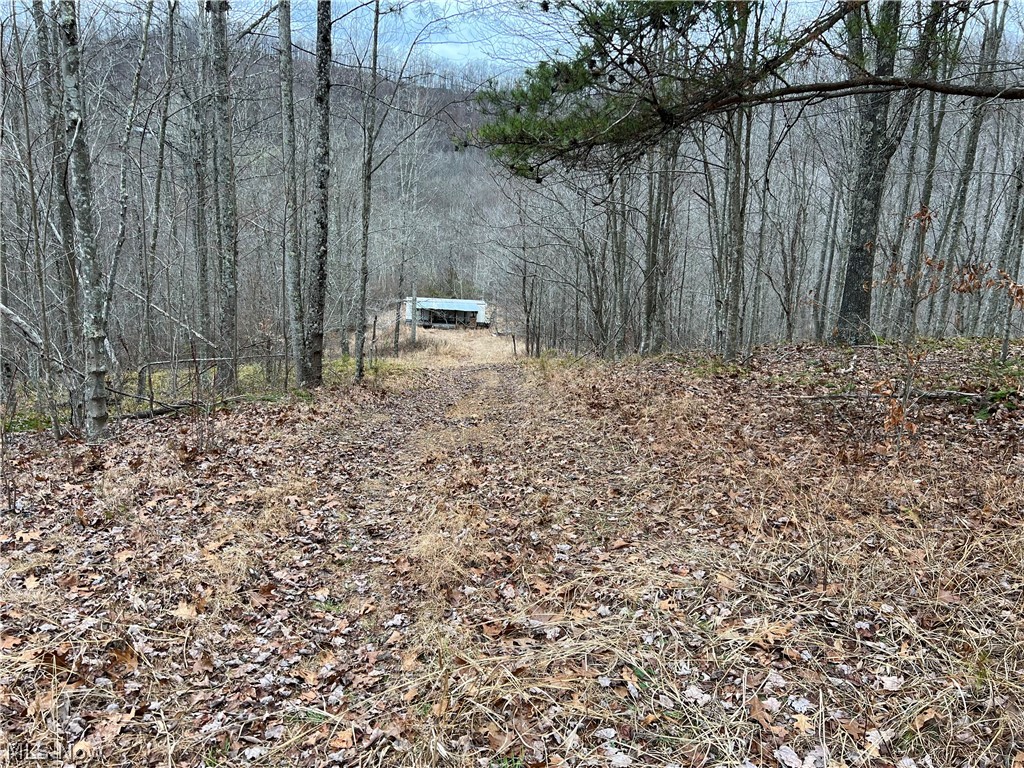 1101 Orchard Run Road Spencer, WV 25276 - Photo 22 of 31 Gallery Image 22