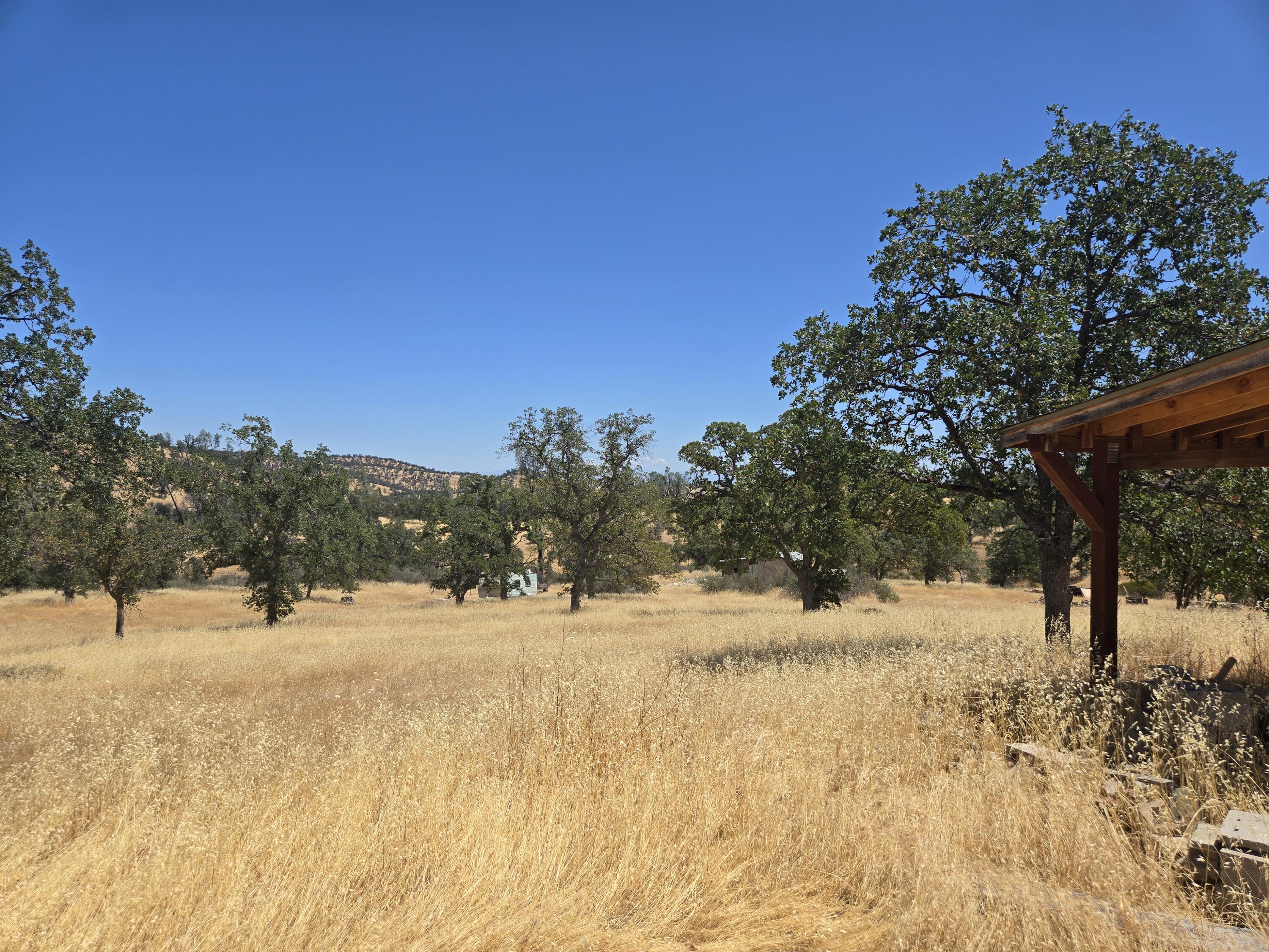 128 Tar Bully Road Igo, CA 96047 - Photo 13 of 25 20250722_124123