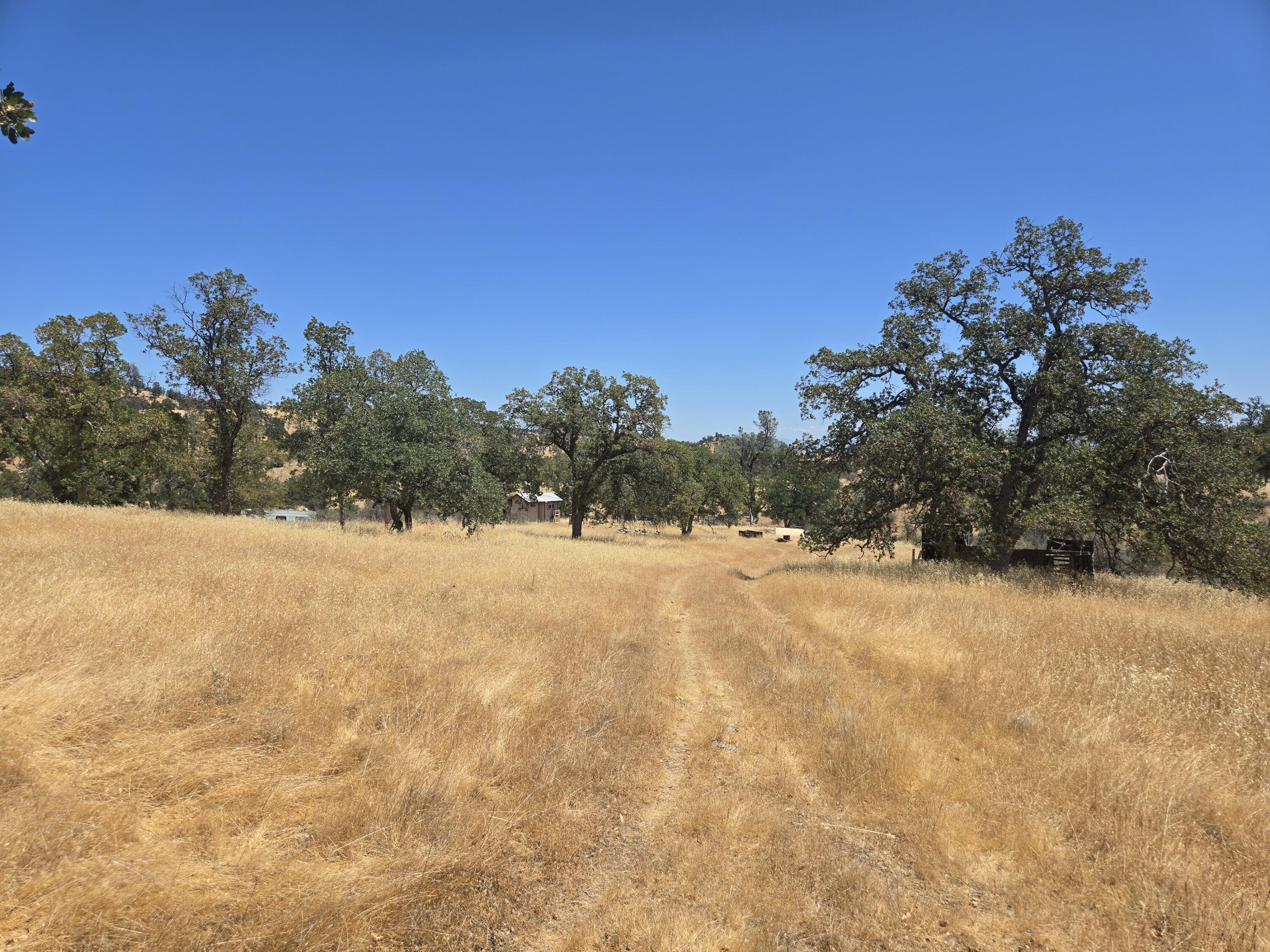 128 Tar Bully Road Igo, CA 96047 - Photo 16 of 25 20250722_124304