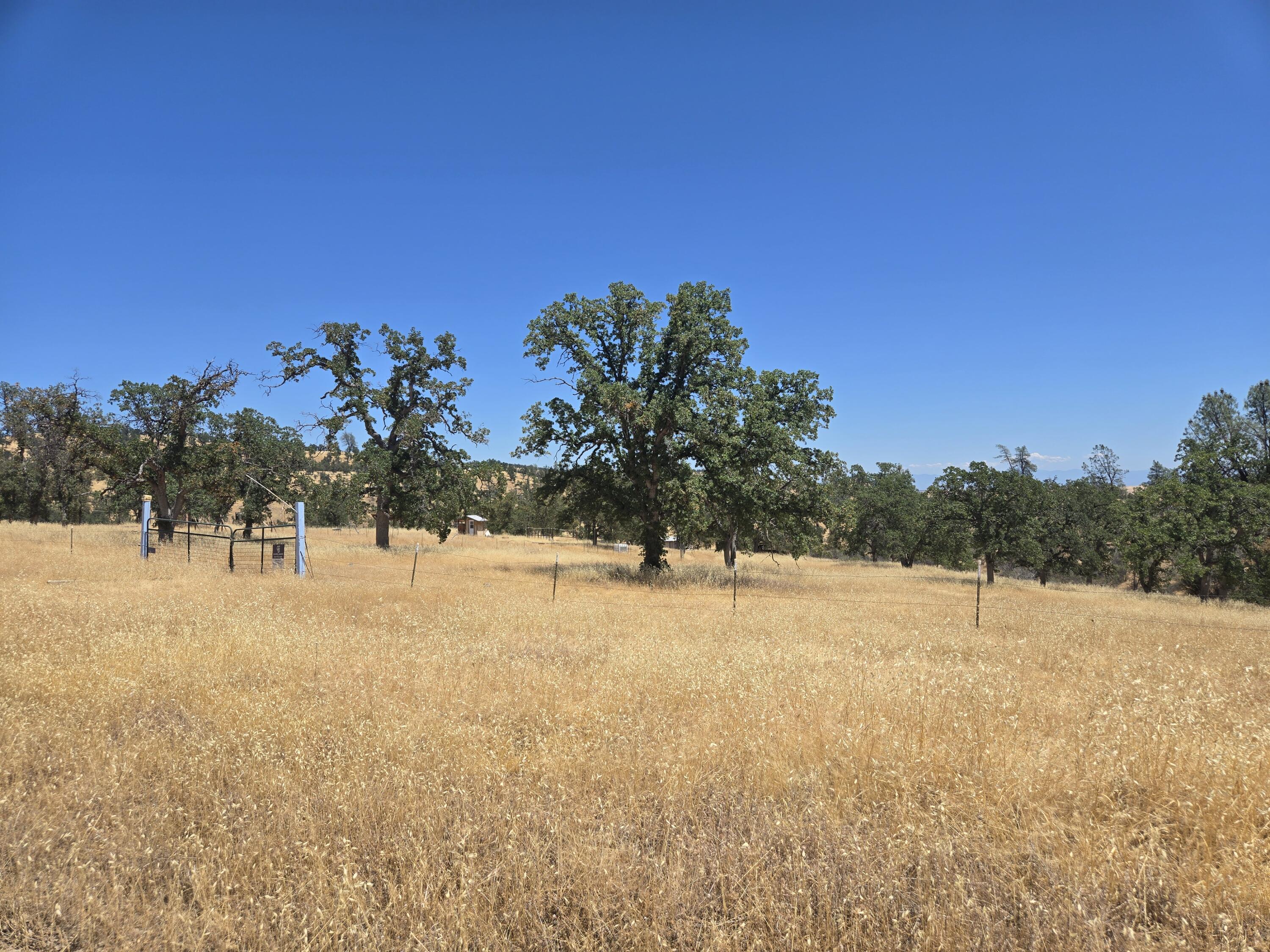 128 Tar Bully Road Igo, CA 96047 - Photo 25 of 25 20250722_125408