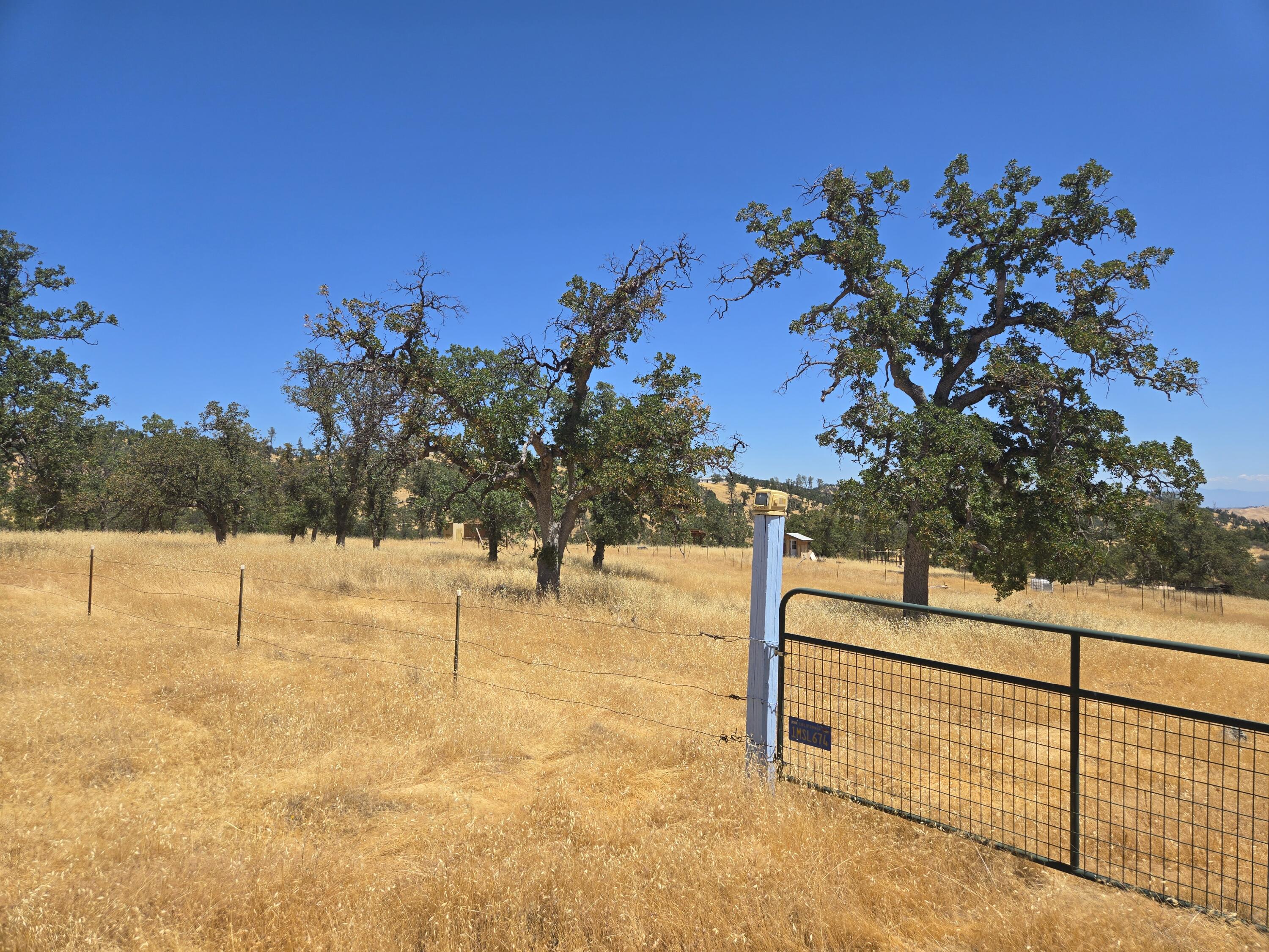 128 Tar Bully Road Igo, CA 96047 - Photo 4 of 25 20250722_123817