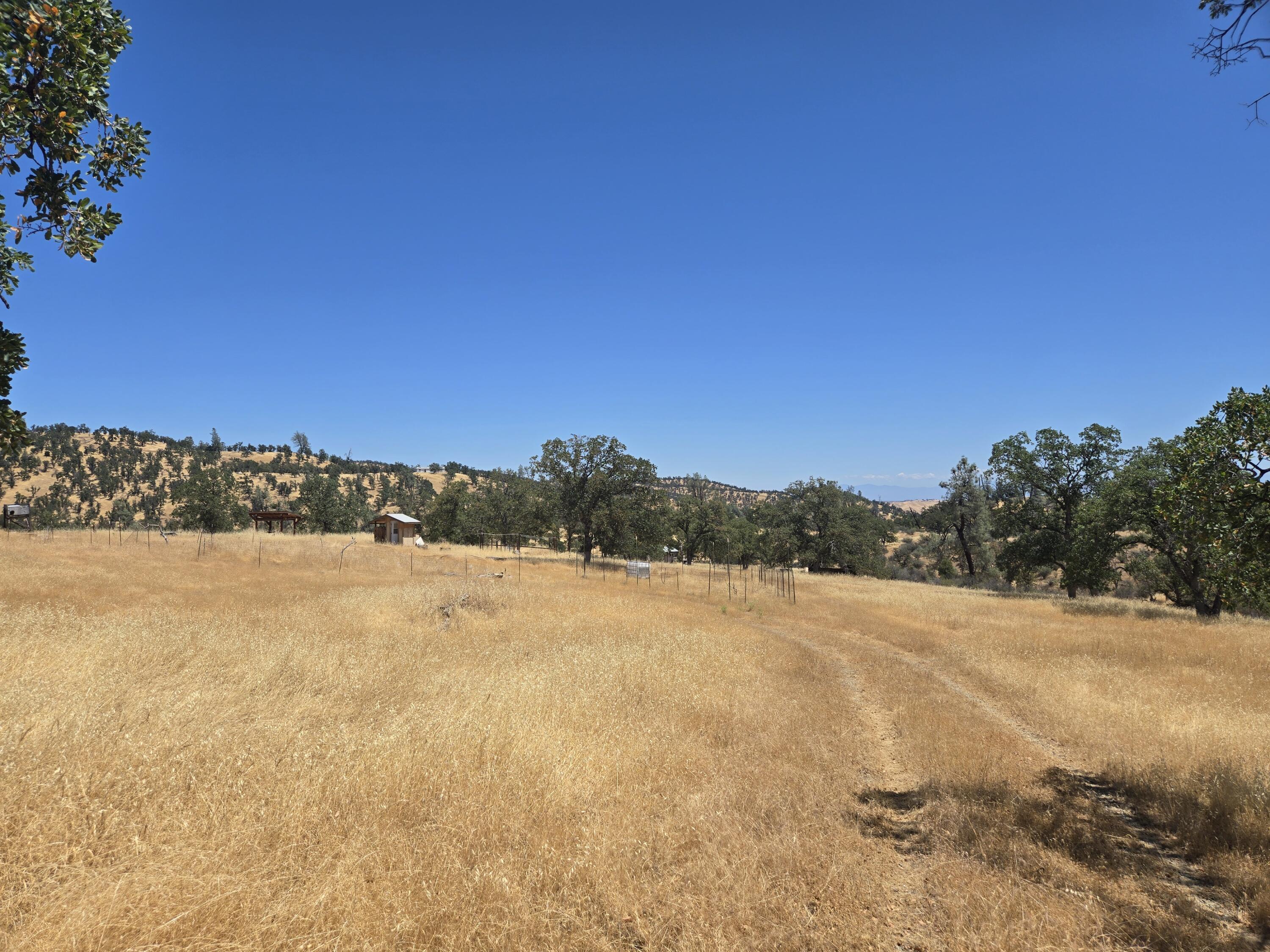 128 Tar Bully Road Igo, CA 96047 - Photo 6 of 25 20250722_123903