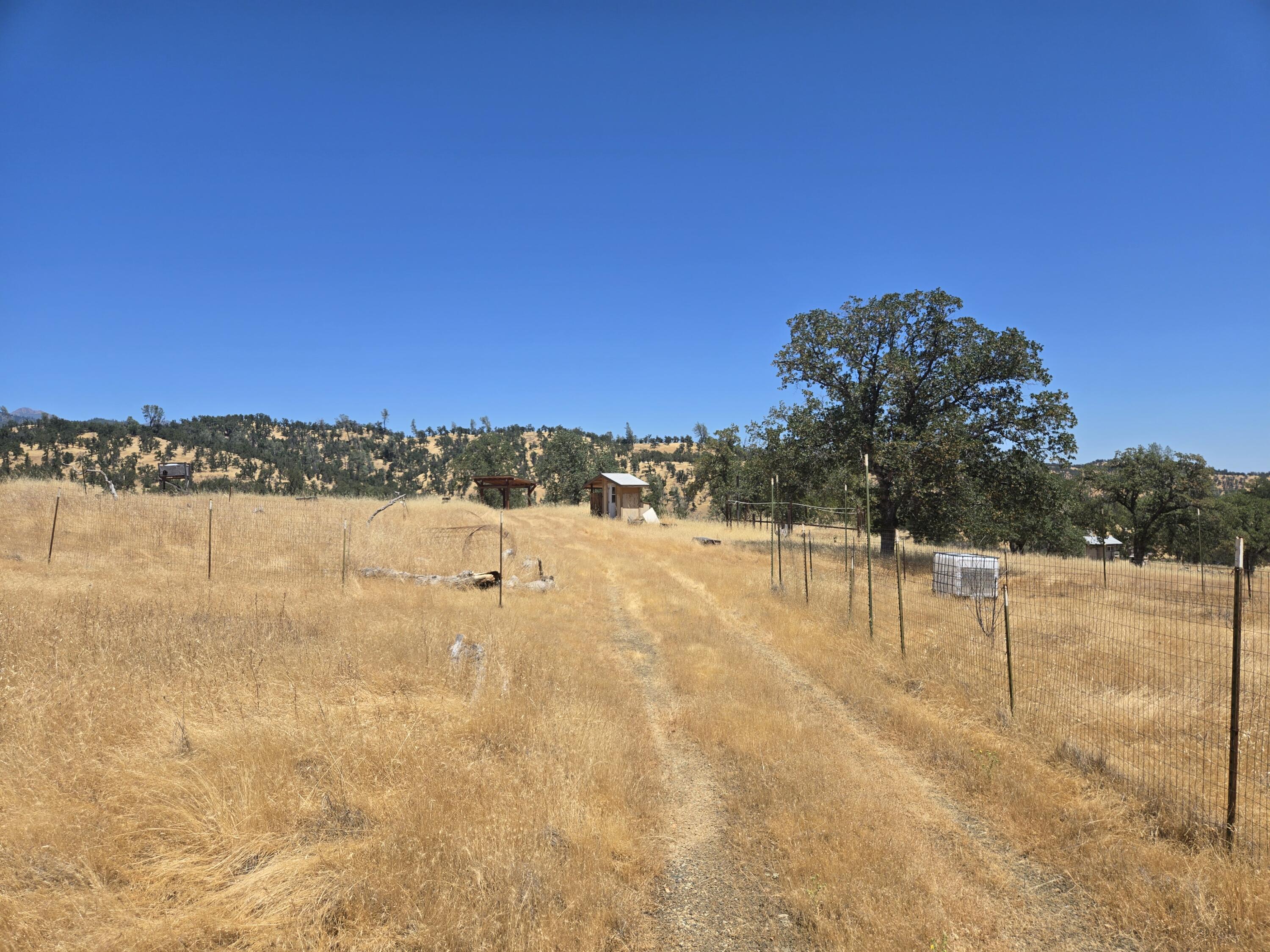 128 Tar Bully Road Igo, CA 96047 - Photo 7 of 25 20250722_123948