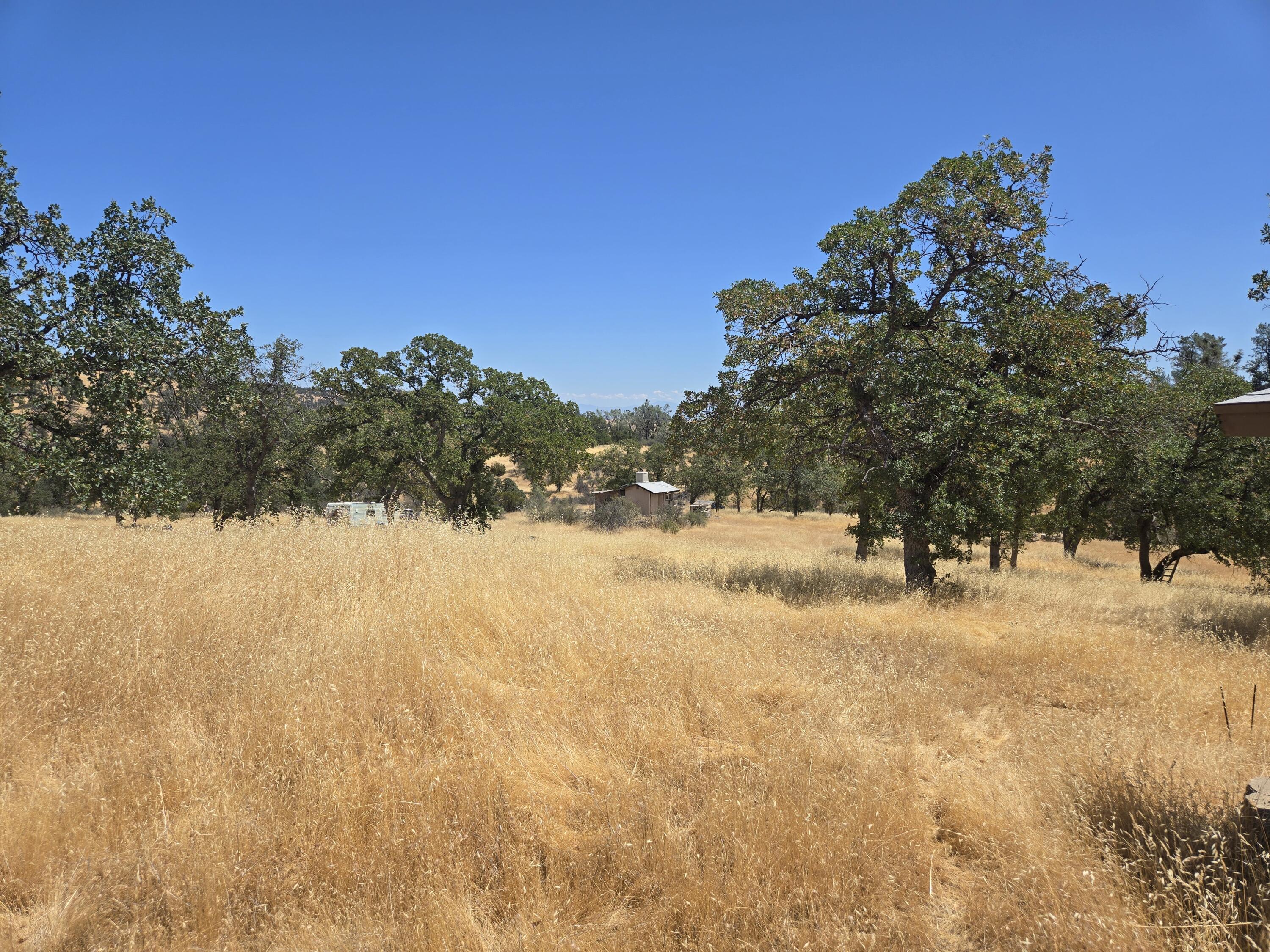 128 Tar Bully Road Igo, CA 96047 - Photo 8 of 25 20250722_124040